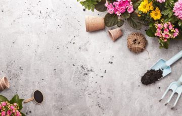 Beton w ogrodzie i na tarasie. Najnowsze trendy i praktyczne porady